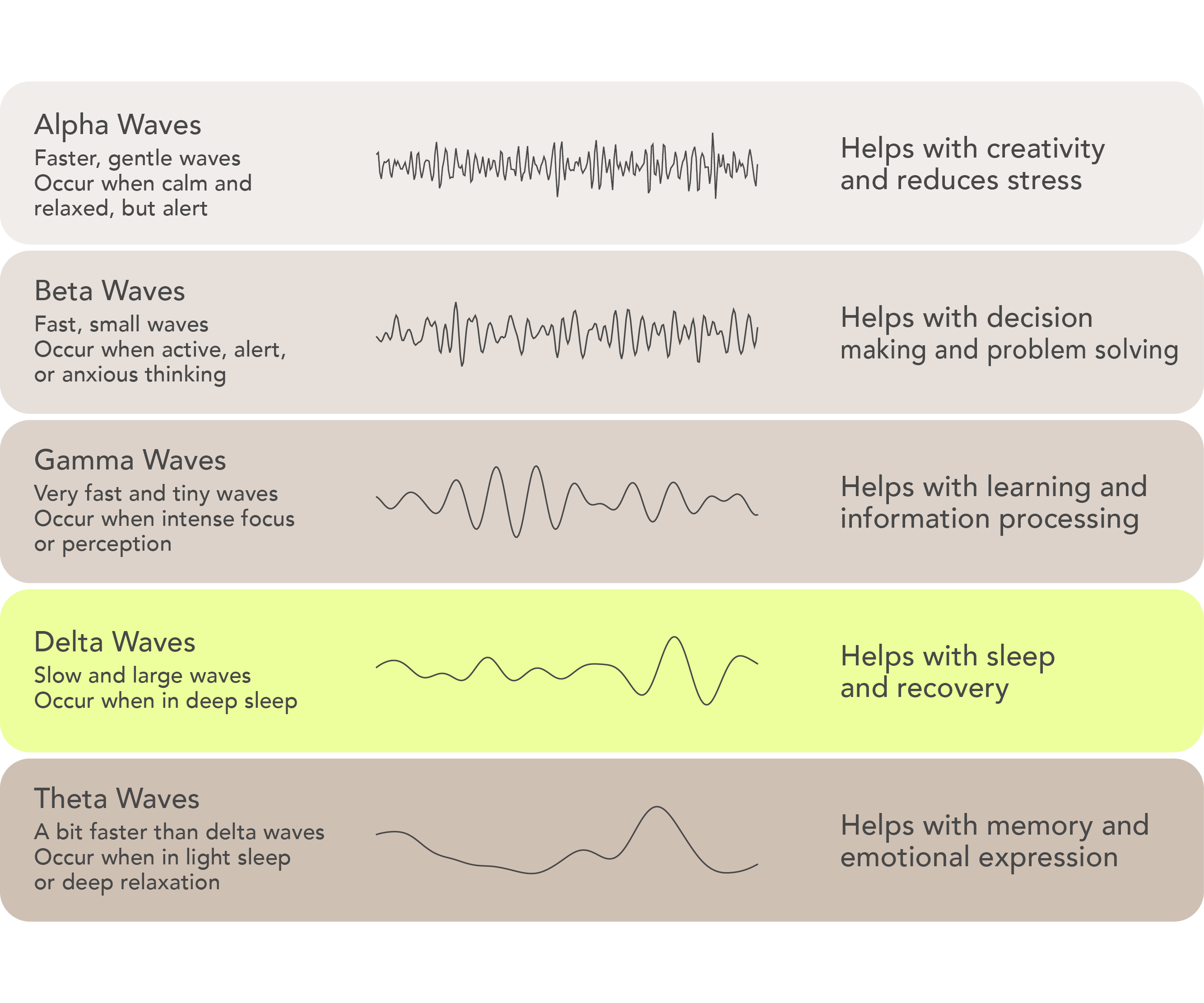 Fünf Arten von Gehirnwellen zeigen unterschiedliche Frequenzen.