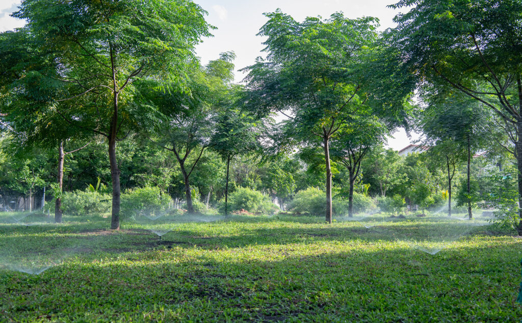 Kürzlich in Green Kanha gepflanzte Bäume werden gut bewässert.